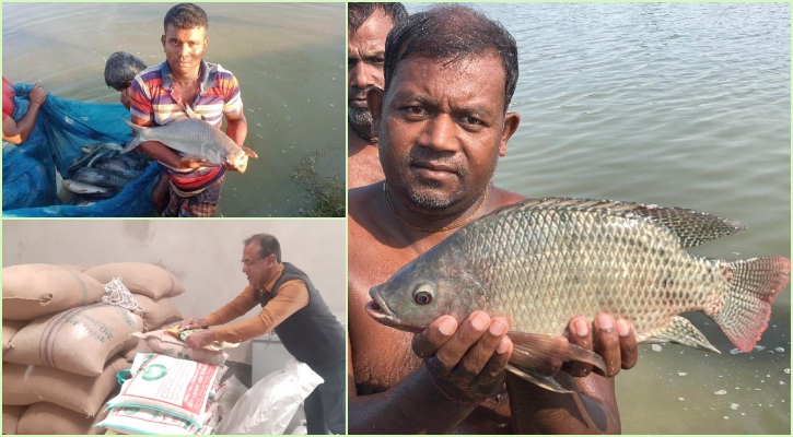 মোটা বেতনের চাকরি ছেড়ে গ্রামে নিরাপদ কৃষি খামার গড়েছেন আকতার